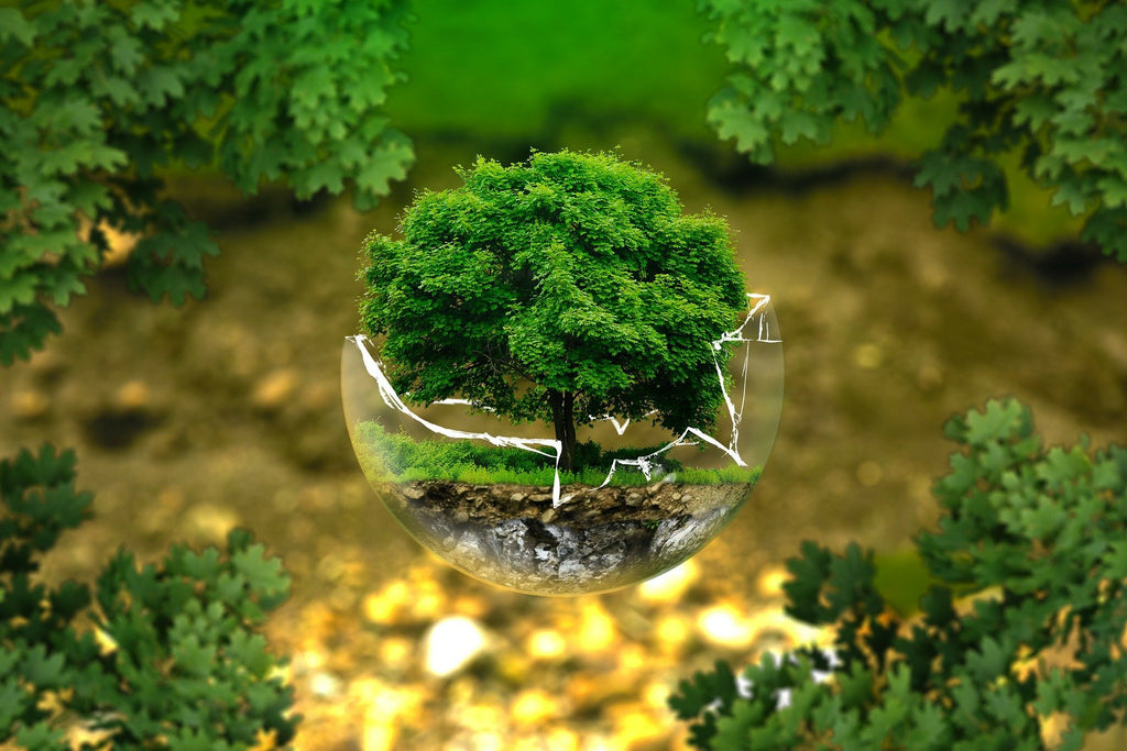 Green Is The New Black